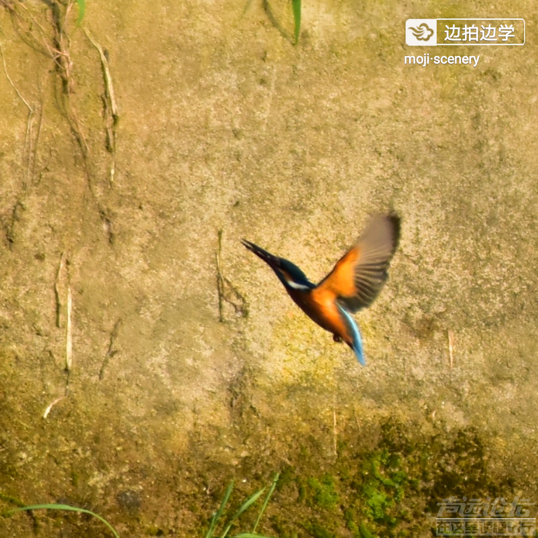 20190702_564876_1562032331934.png