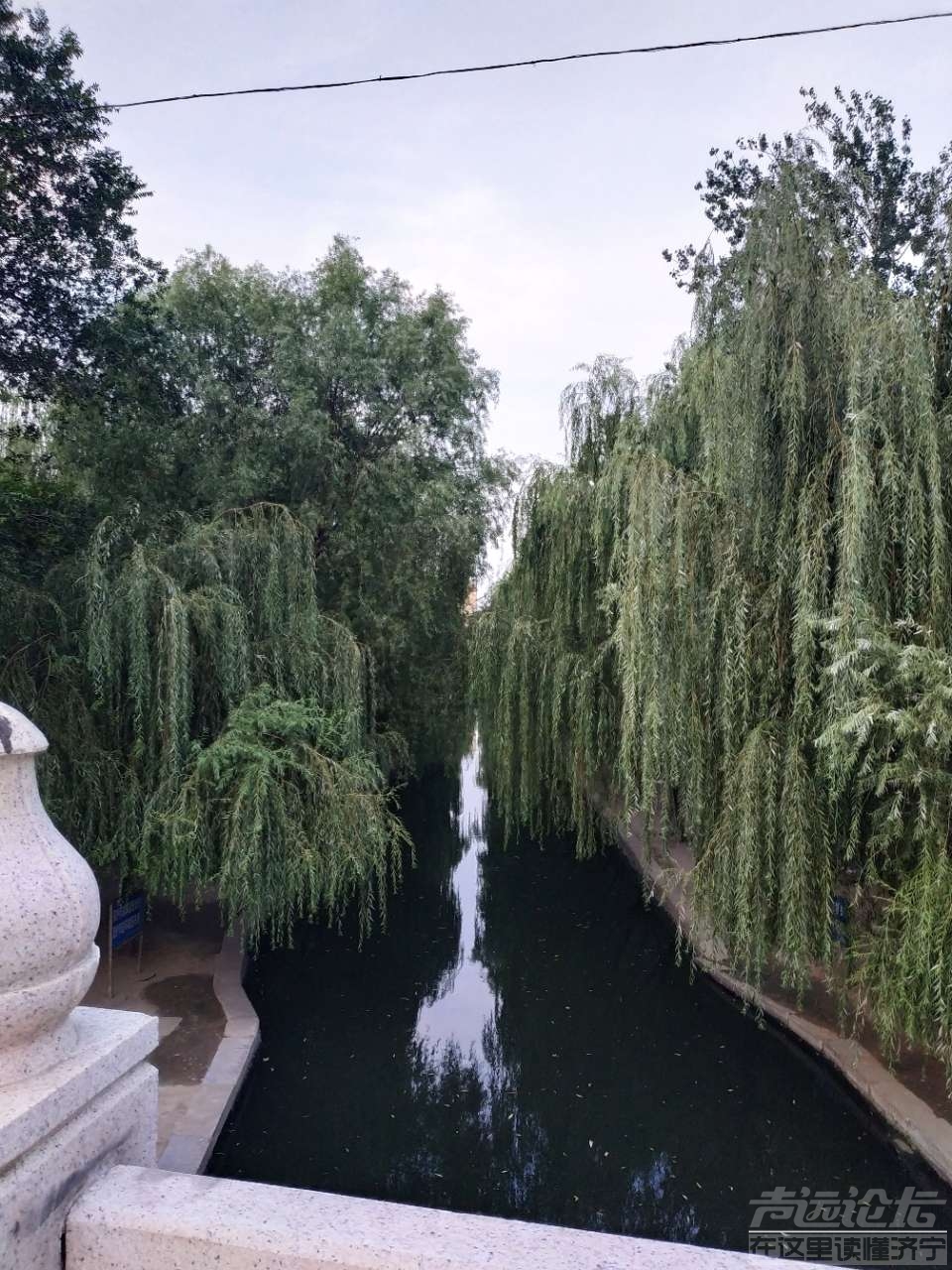 20190704_502872_1562219459255.jpg