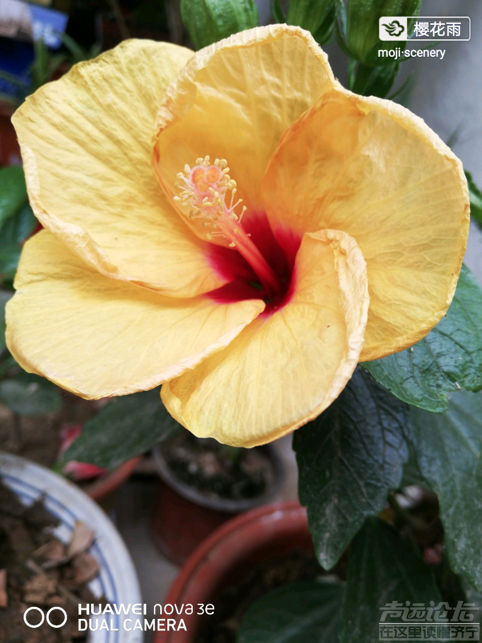 20190704_564876_1562238569243.png