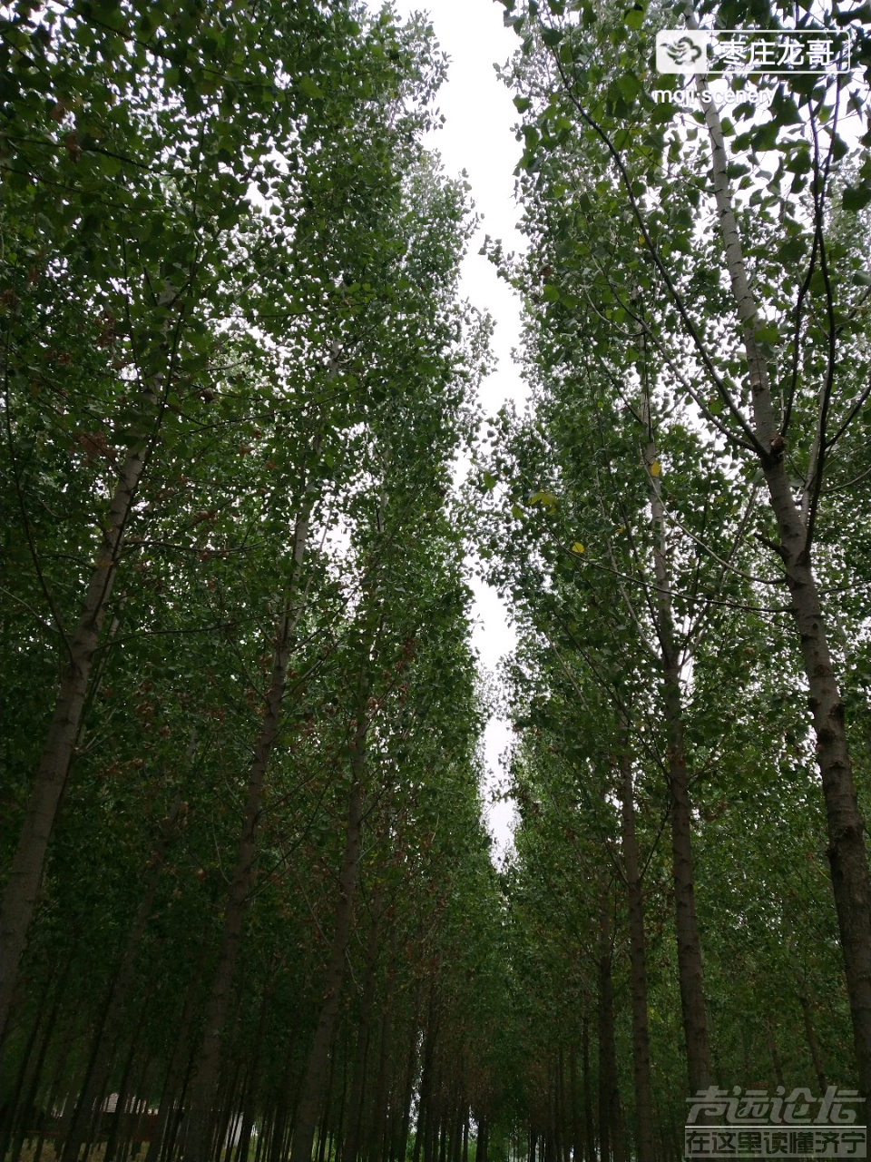 20190704_564876_1562238584904.png