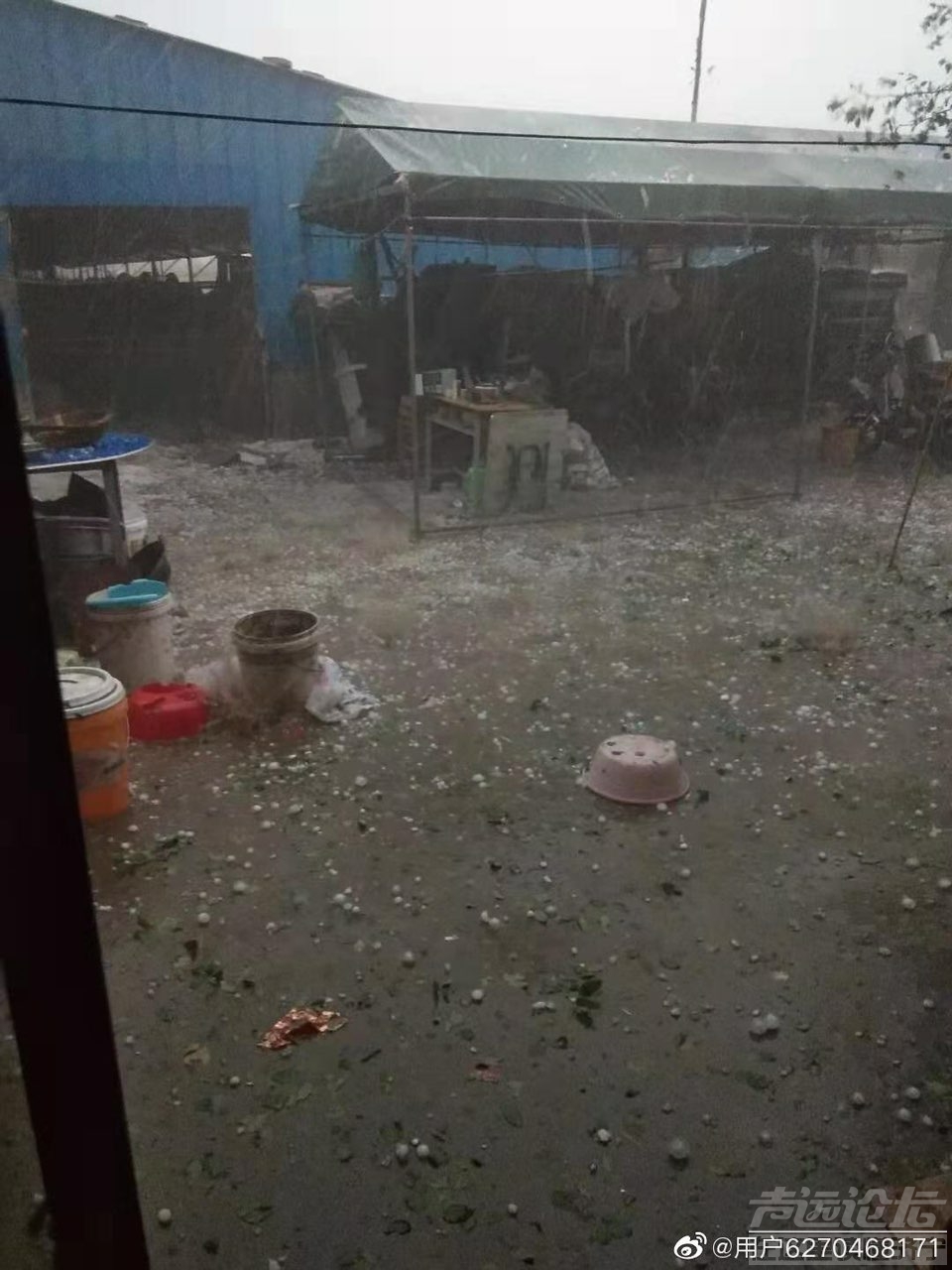 早8时左右金乡南部出现超强对流天气  遭受严重冰雹灾害 农作物或将绝产-1.jpg