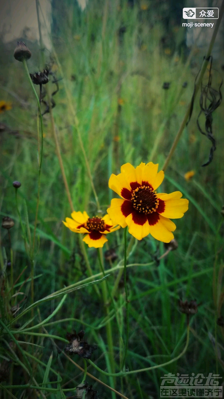20190706_564876_1562391717733.png