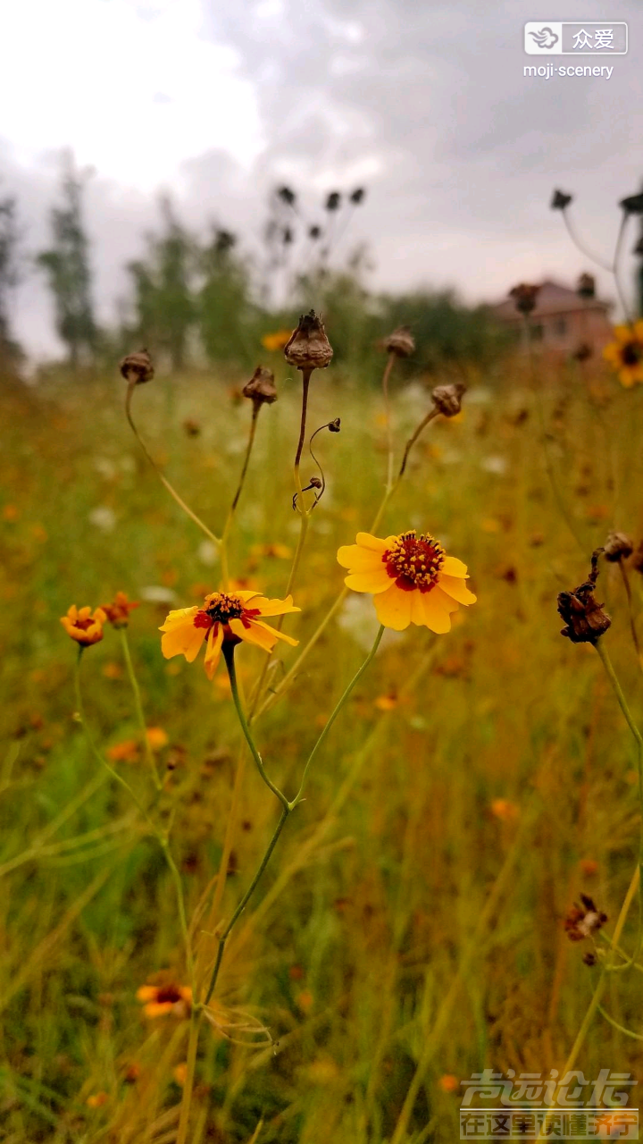 20190706_564876_1562391780397.png