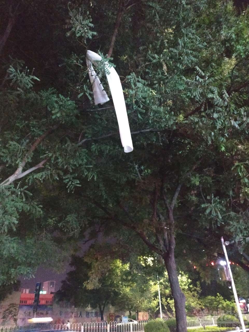 20190708_568111_1562592575790.jpg