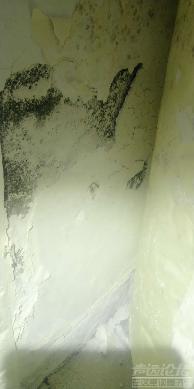 20190709_578809_1562632717435.jpg