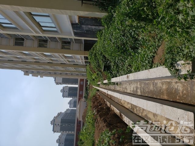 63e3468a91a914aabda7006efa963421.jpeg
