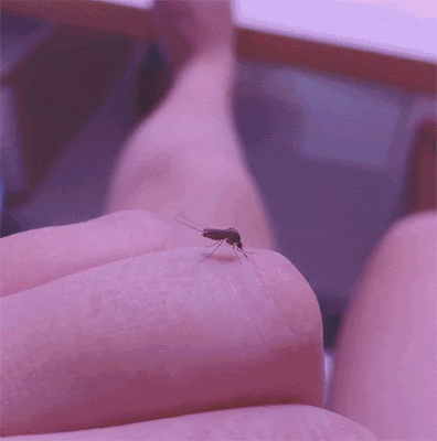 20190710_35902_1562727461632.gif