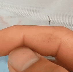 20190710_35902_1562727498802.gif