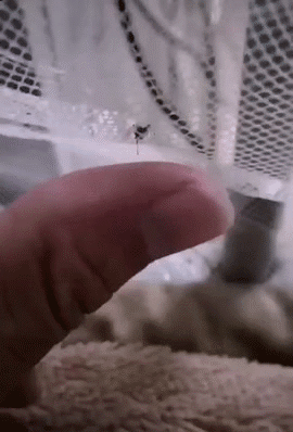 20190710_35902_1562727518211.gif