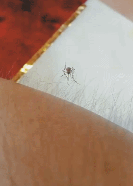 20190710_35902_1562727538491.gif