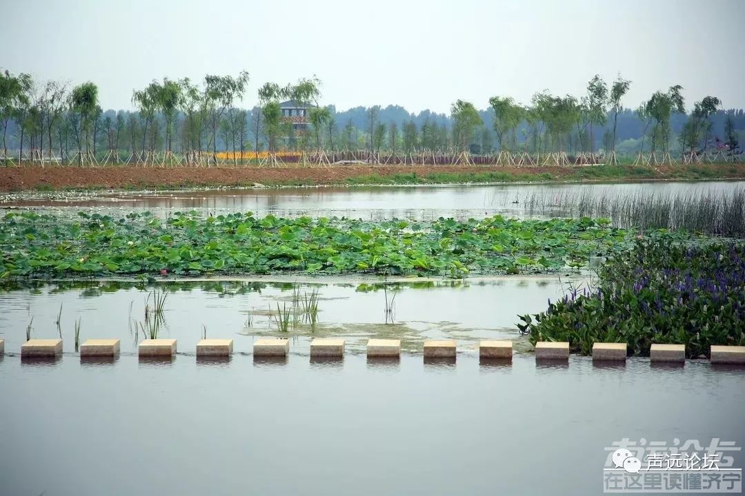 声远头条｜吾悦广场把广告遮上， 建设正常进行/济宁京杭大运河在施工/天气预报能信吗-9.jpg