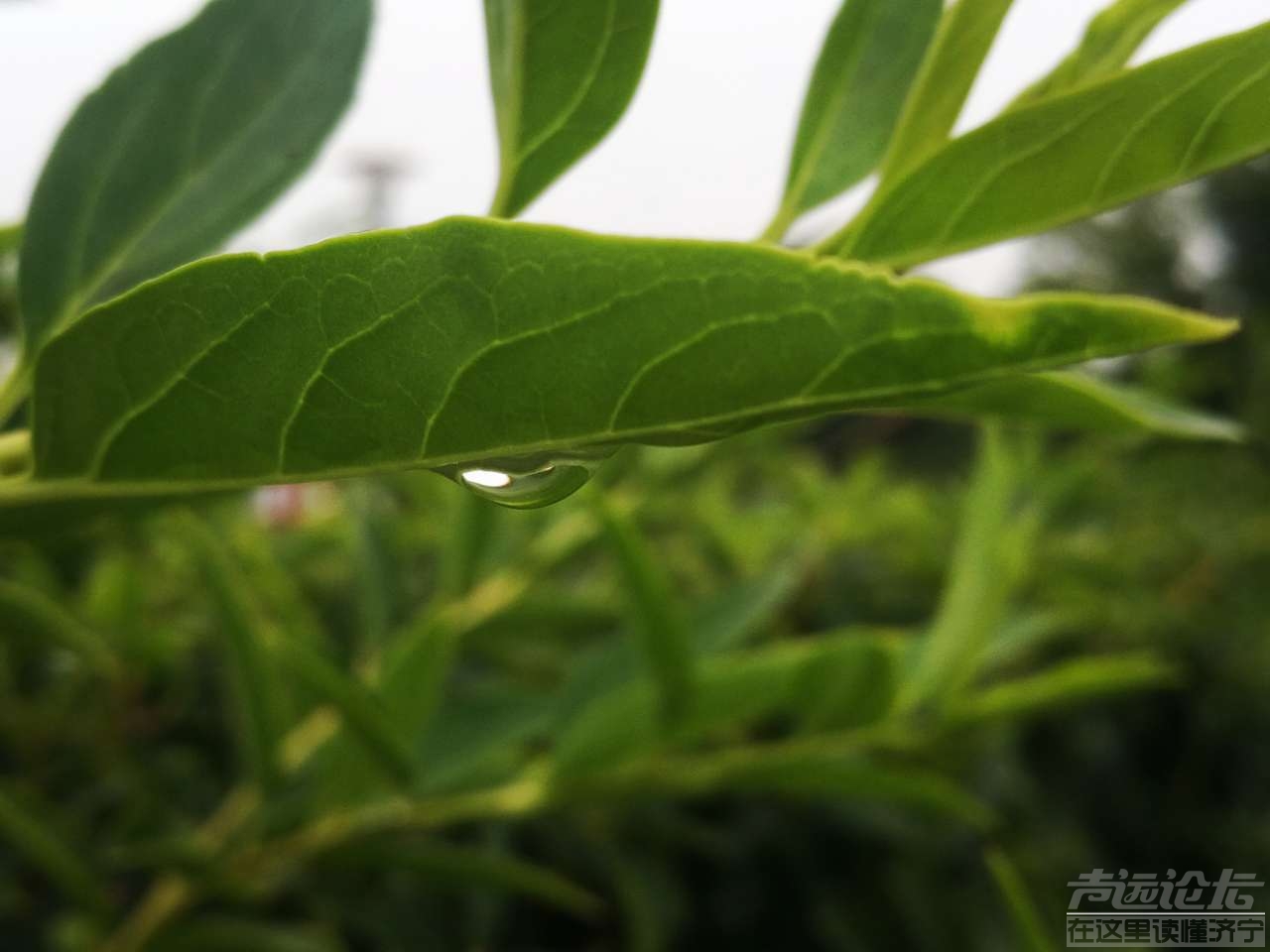 20190710_595339_1562758767641.jpg