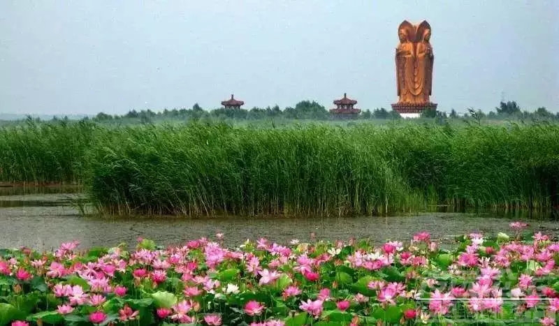 刚刚！济宁十二时辰火了！-23.jpg
