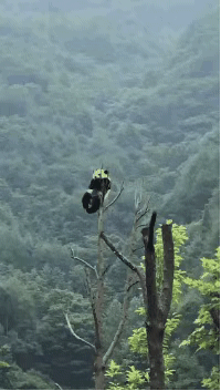 20190712_35902_1562860883648.gif