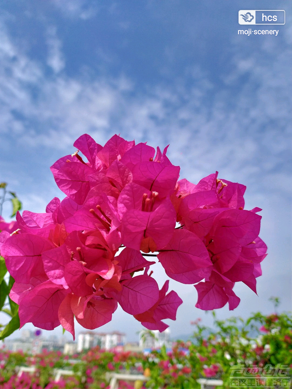 20190712_564876_1562900761865.png