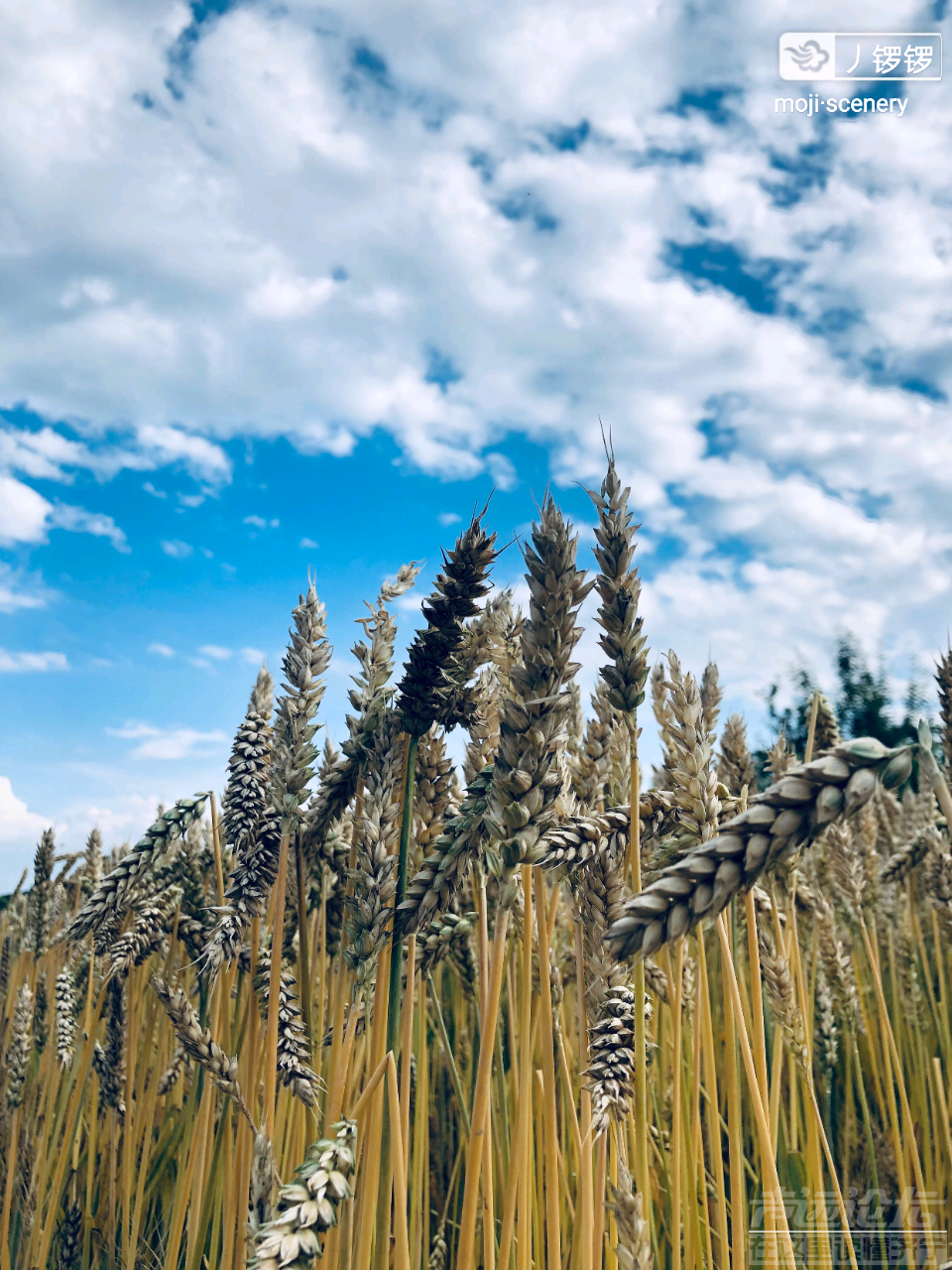 20190712_564876_1562900785062.png