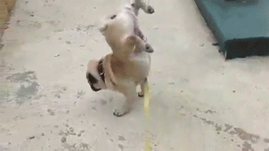 20190712_35902_1562913273741.gif
