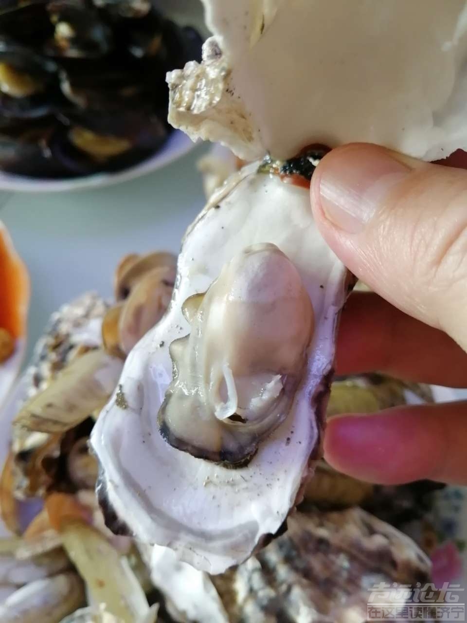 20190713_35902_1562993299460.jpg