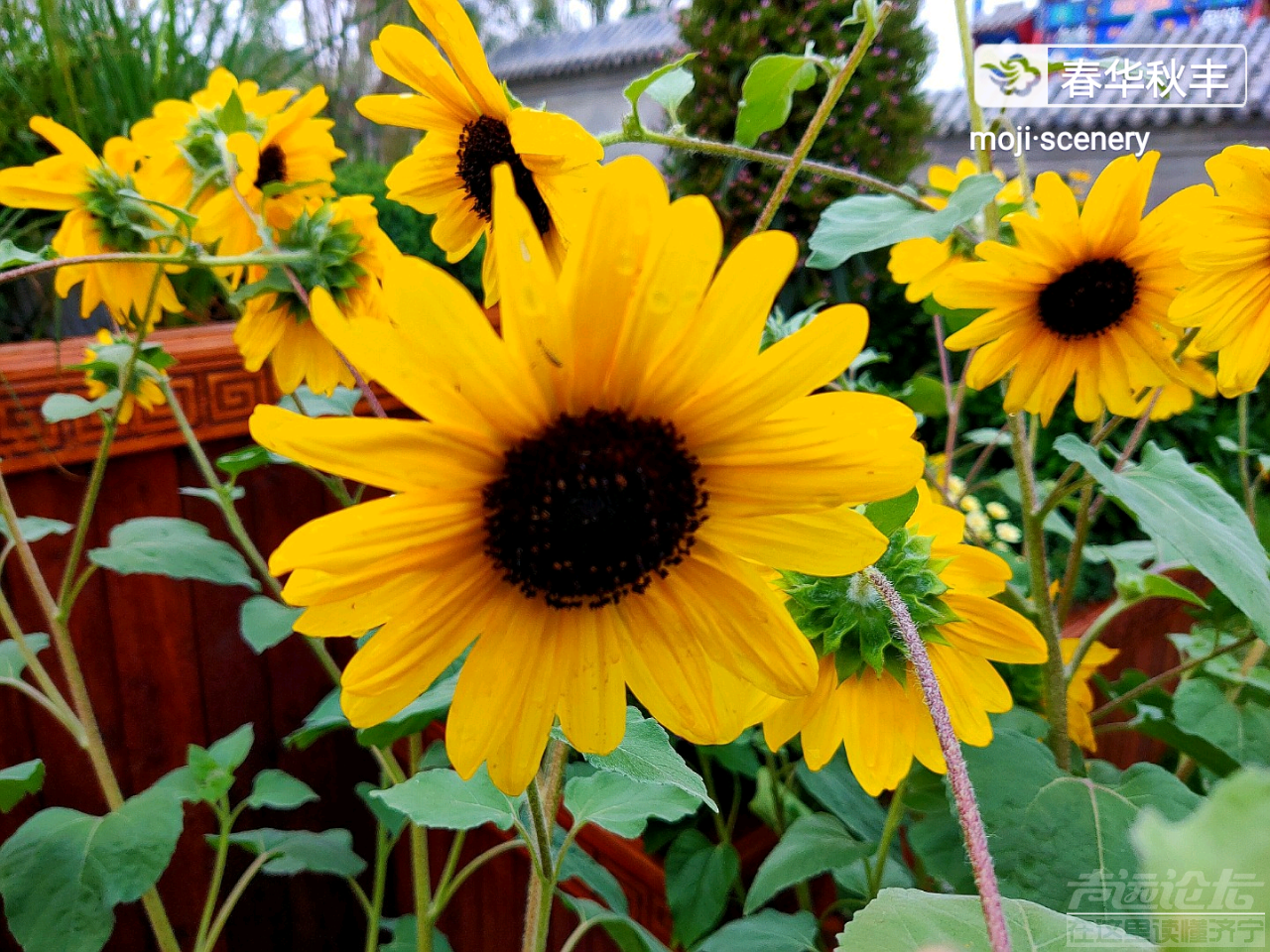 20190713_564876_1563000712957.png