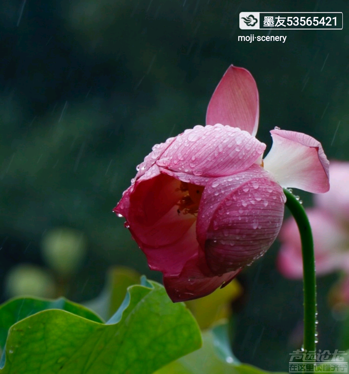 20190713_564876_1563000739353.png