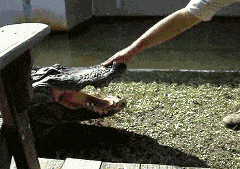 20190714_68307_1563064555436.gif