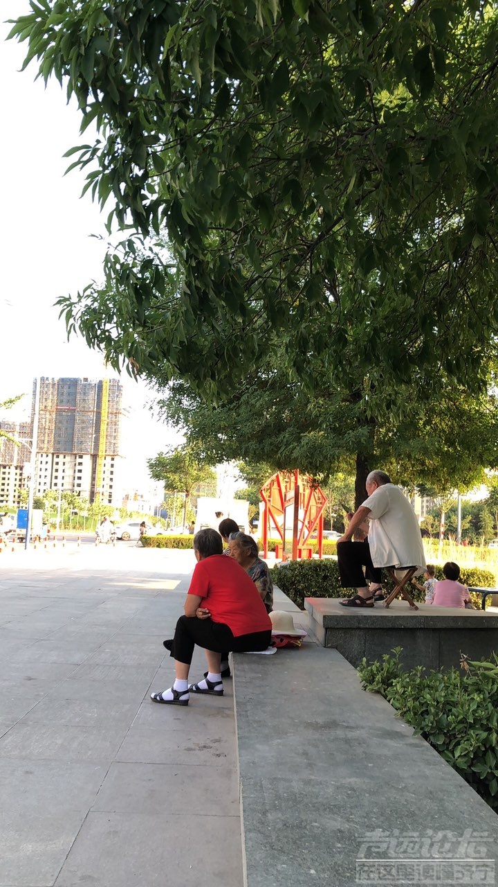 201907145230151563110097364226.jpg