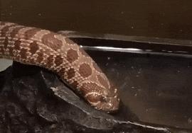 20190715_68307_1563149984419.gif