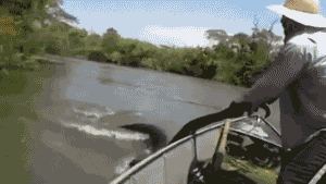 20190715_68307_1563150124645.gif