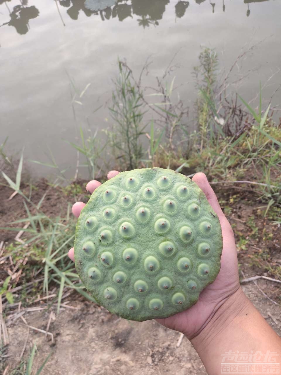 20190715_595776_1563155618604.jpg