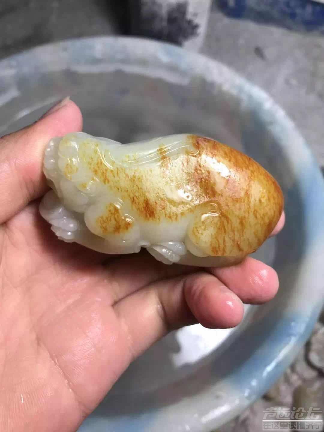 微信图片_201907151529551.jpg