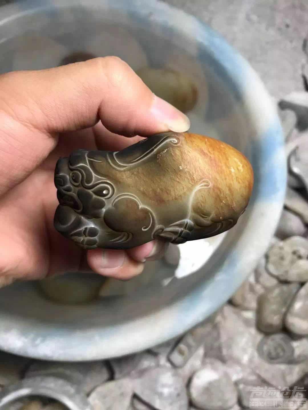 微信图片_201907151529554.jpg