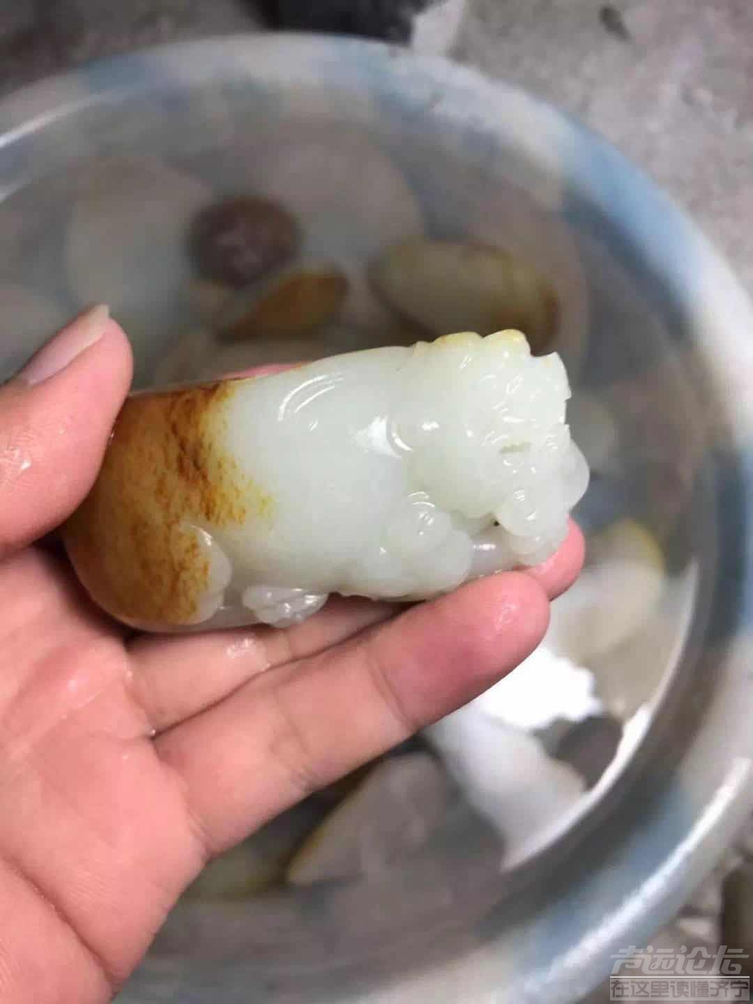 微信图片_201907151529558.jpg