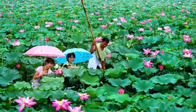 坐着游轮游览大运河风光来到南阳古镇-16.jpg