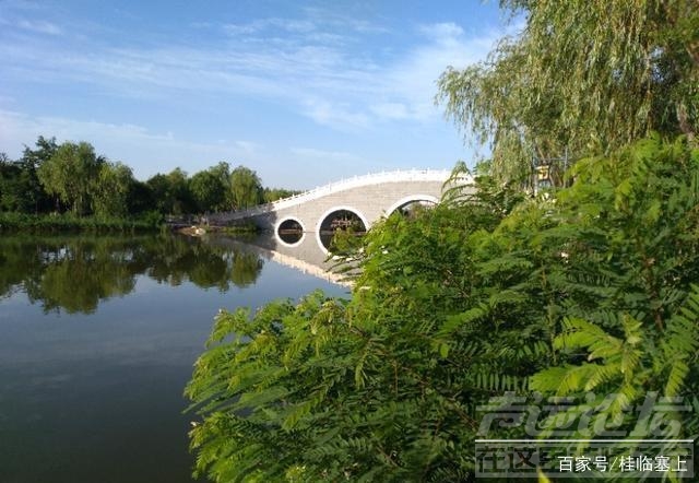 银川美景 威记游银川：美景藏心中-银川夏景挺美-6.jpg