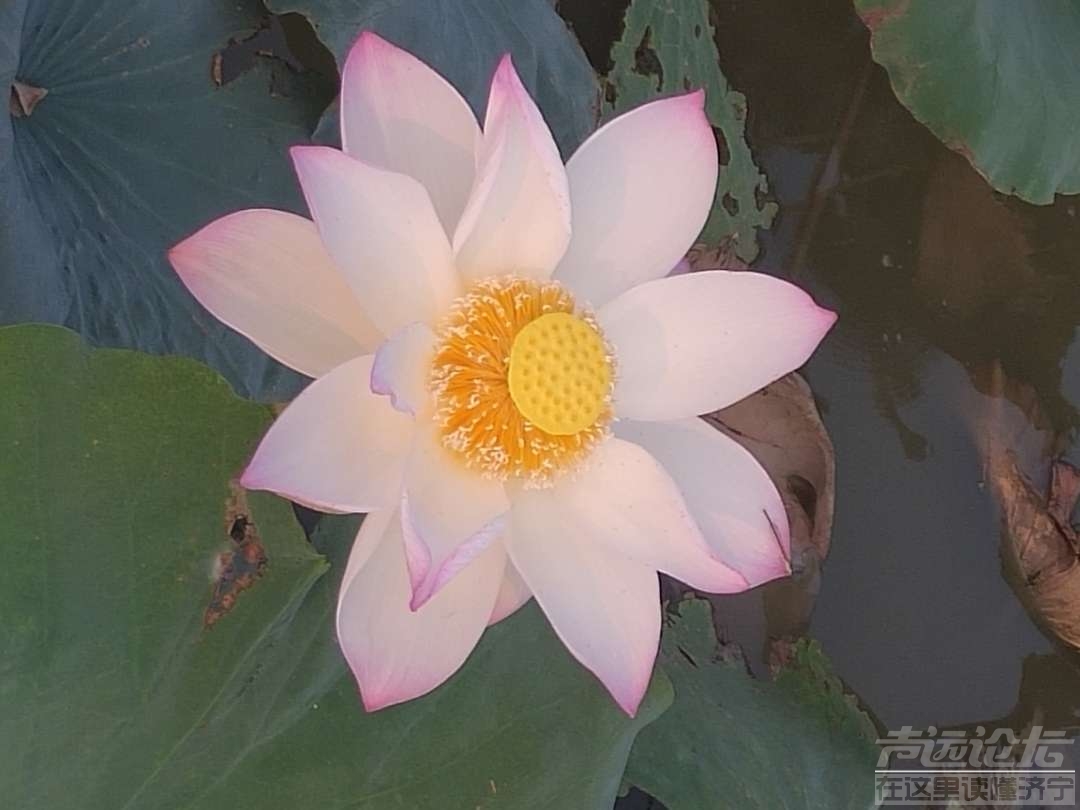 20190719_595776_1563489061852.jpg