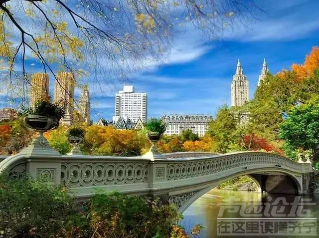 老美的纽约公园-2.jpg