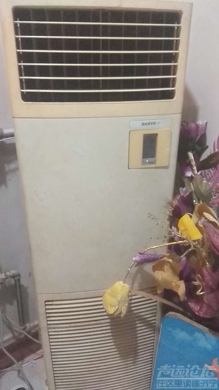 20190719_114191_1563536334329.jpg