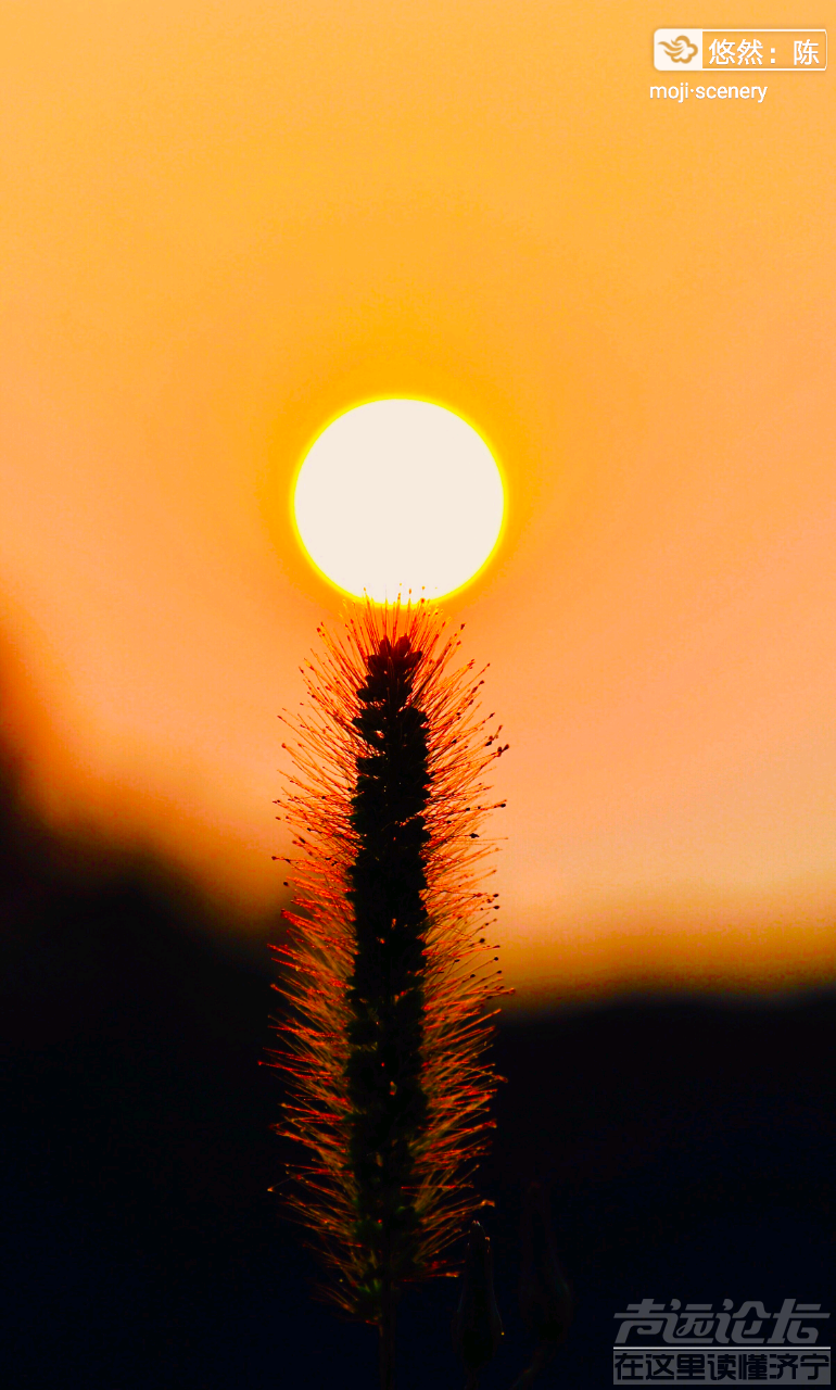 20190720_564876_1563629762792.png