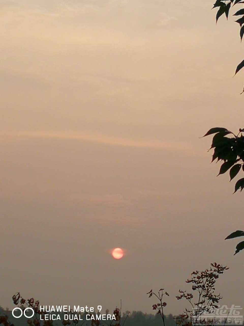 20190721_564876_1563681615163.jpg