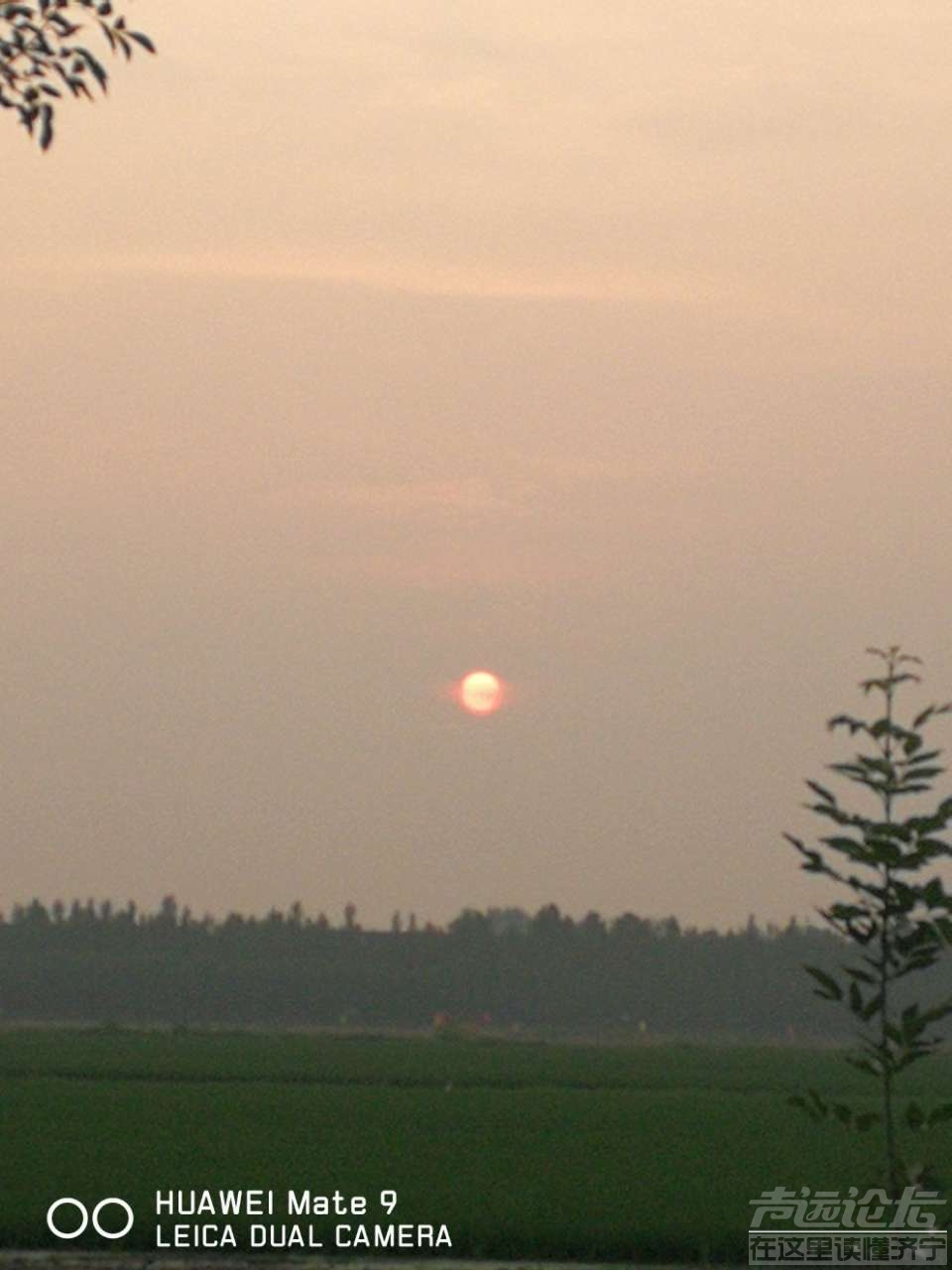 20190721_564876_1563681630748.jpg