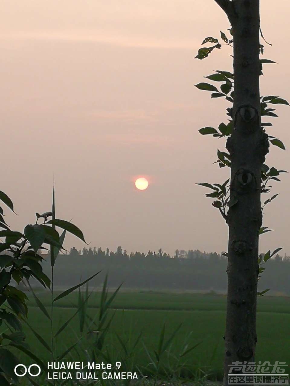 20190721_564876_1563681644436.jpg