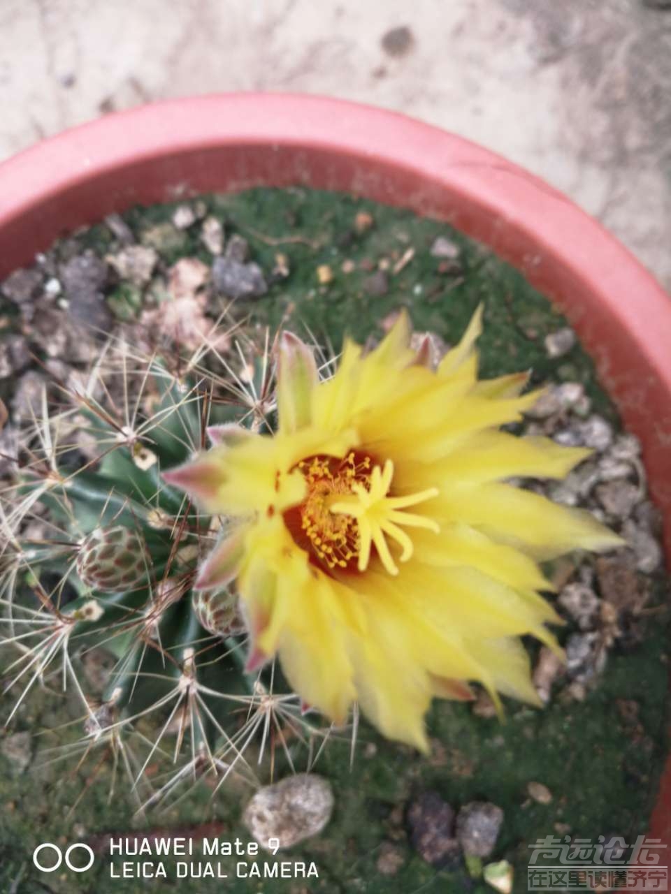 20190722_564876_1563766201127.jpg