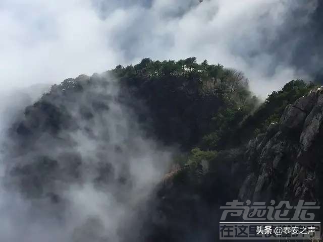 泰山美景-1.jpg
