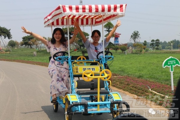 已正式开园！！向日葵、荷花池，来兖州牛楼花海彩田打卡吧！票价仅售10元！-10.jpeg