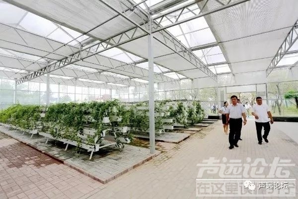 声远头条｜15岁少年致人死亡该不该判刑？/济宁的药里有农药？/济州古城最新建设进度-23.jpg
