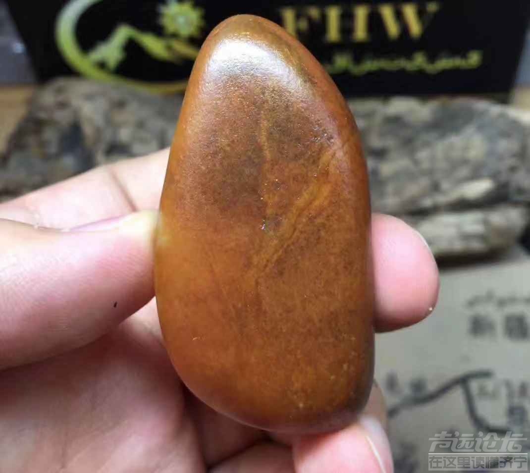 微信图片_201907291510513.jpg