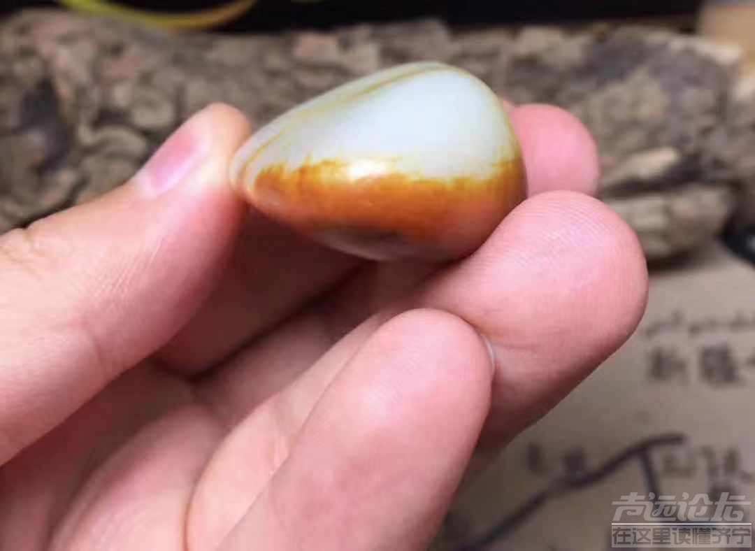微信图片_201907291510515.jpg