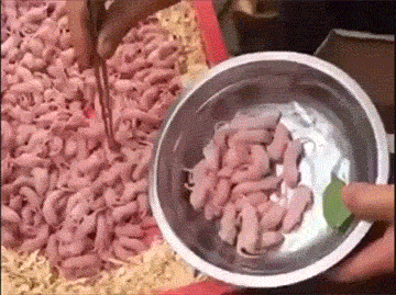 733a0d654c14e13ba12db96ea90a4ab9.gif