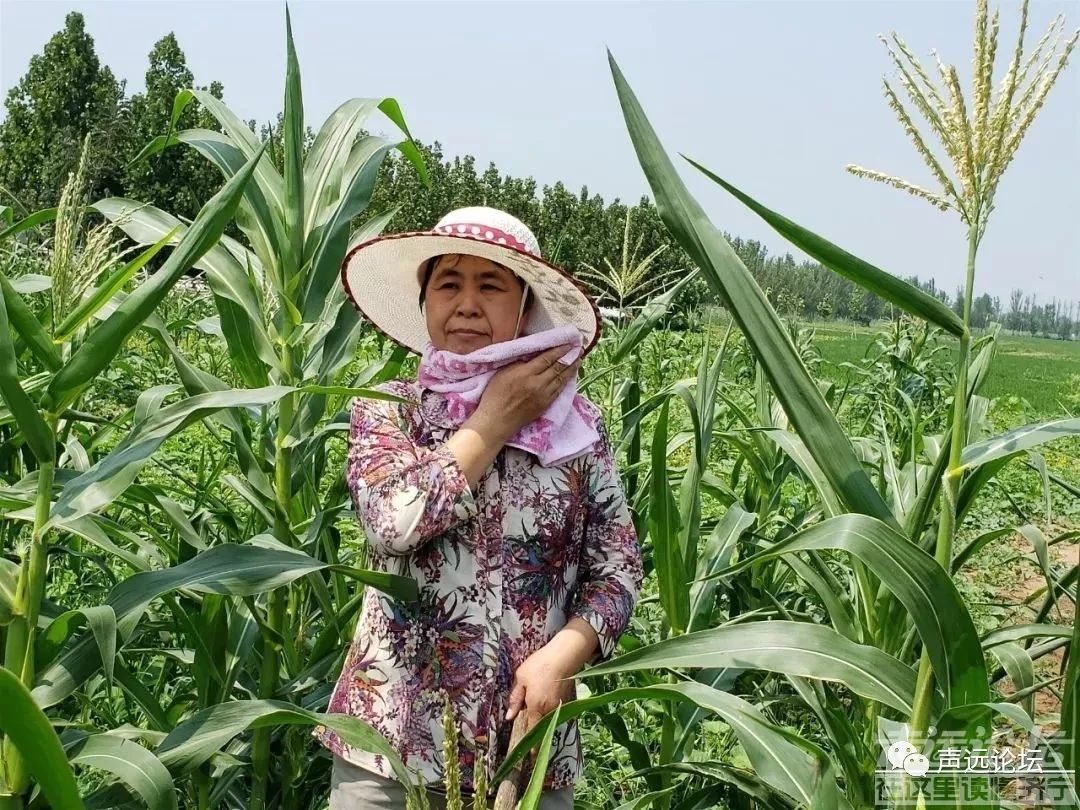声远头条｜济宁车站西路升级改造/济宁拟出让一文化设施用地/这样的好人真的存在-11.jpg