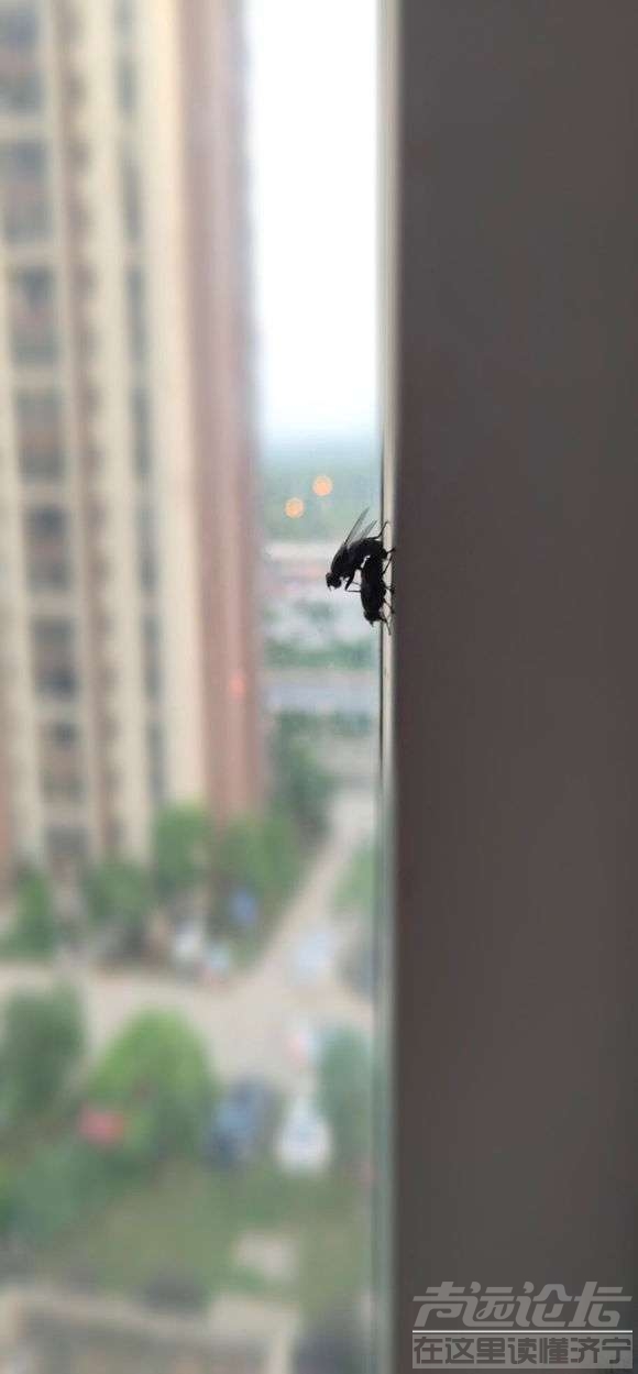 20190802_35902_1564722673952.jpg